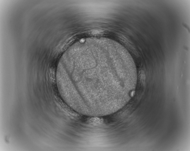 X0000102520421200808291801