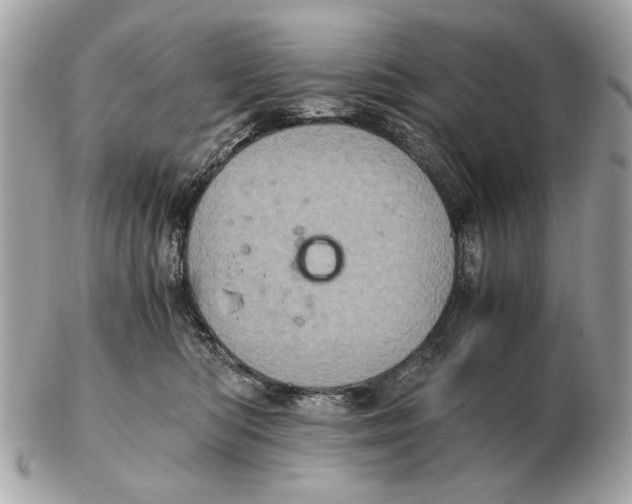 X0000102520422200808291801