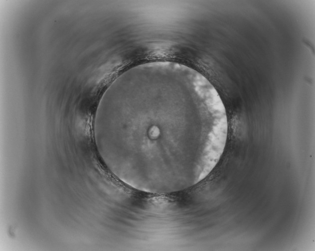 X0000102520423200808291801