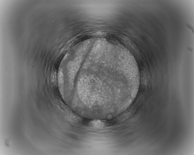 X0000102520425200808291801