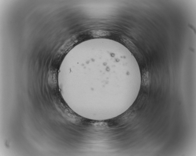 X0000102520426200808291801