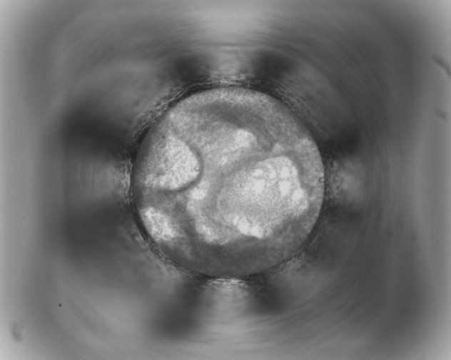 X0000102520427200808291801