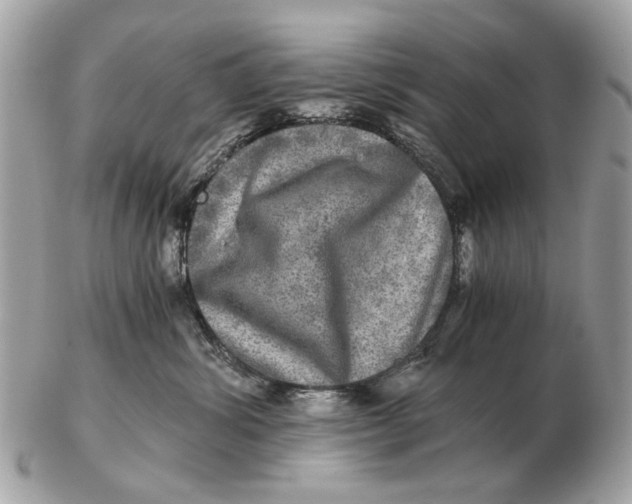 X0000102520428200808291801