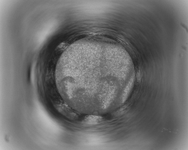 X0000102520429200808291801