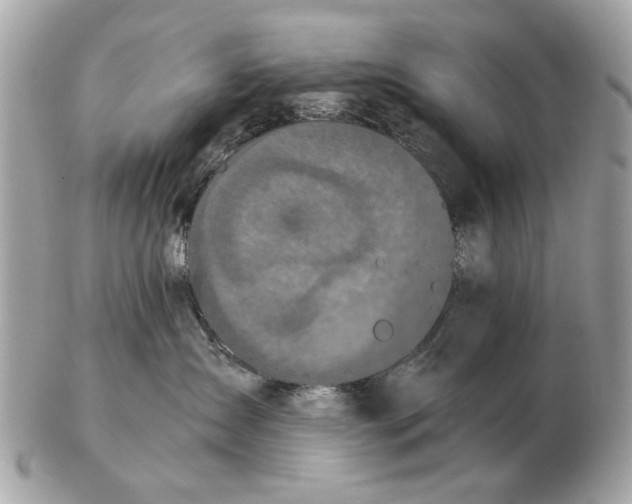 X0000102520431200808291801