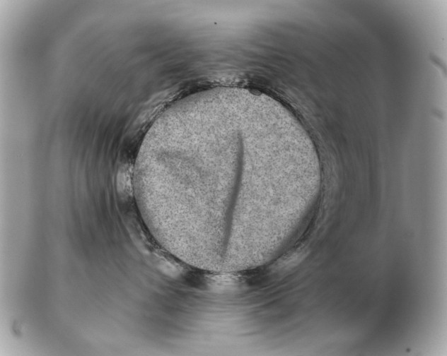 X0000102520432200808291801