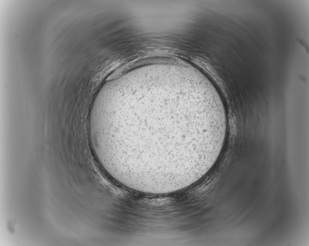 X0000102520433200808291800