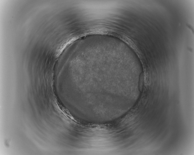 X0000102520434200808291800