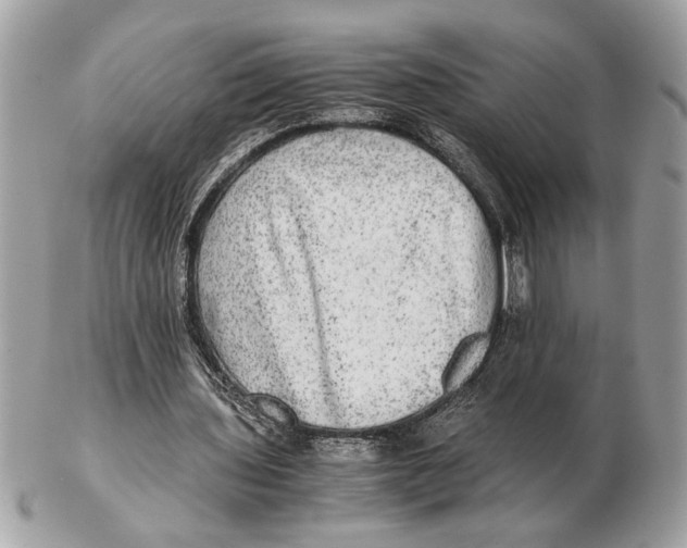 X0000102520435200808291800