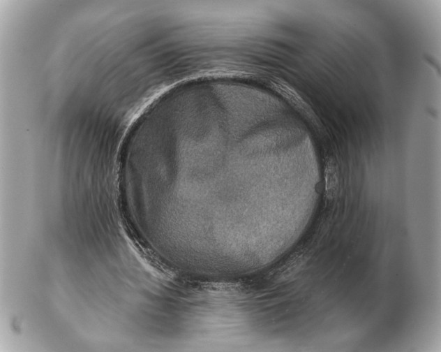 X0000102520436200808291800