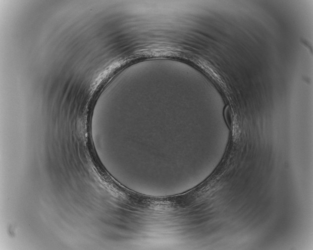 X0000102520438200808291800