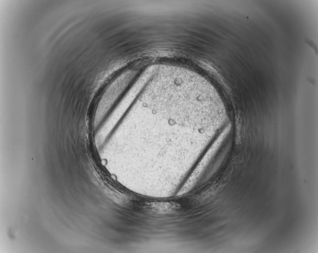 X0000102520439200808291800