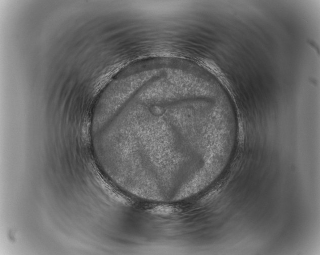 X0000102520441200808291800