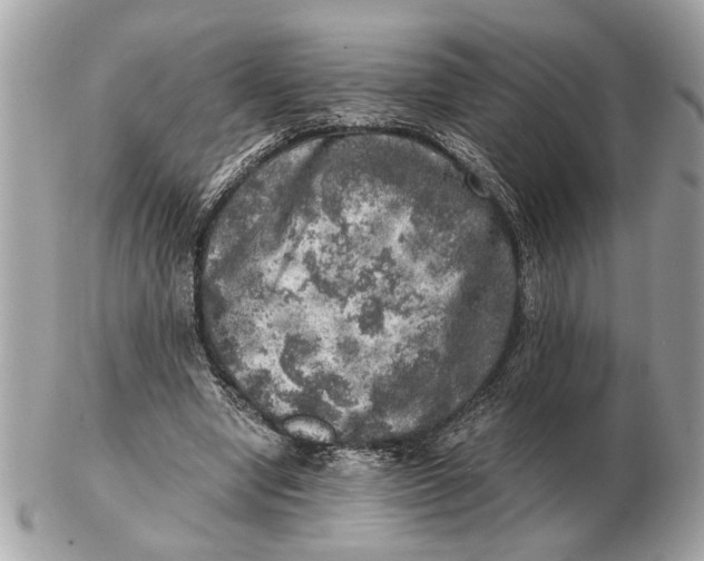 X0000102520442200808291800