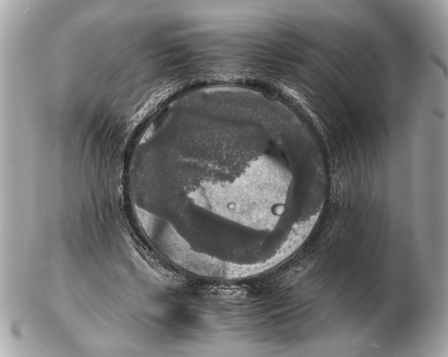 X0000102520443200808291800