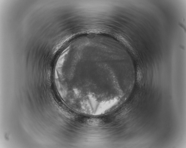 X0000102520444200808291800