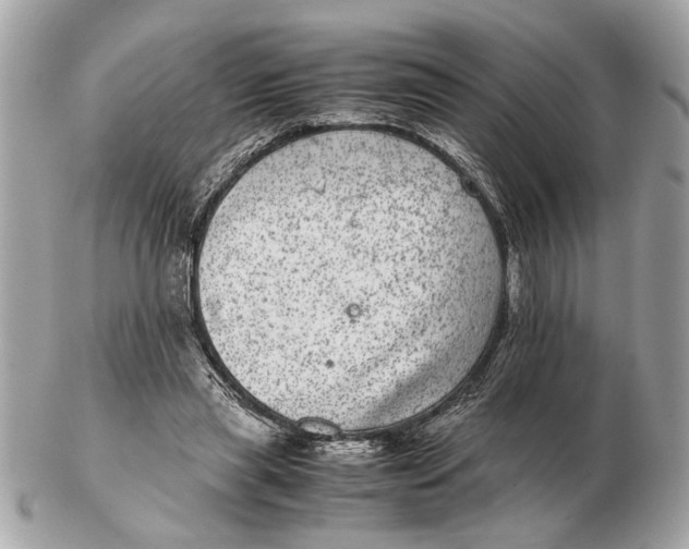 X0000102520445200808291800