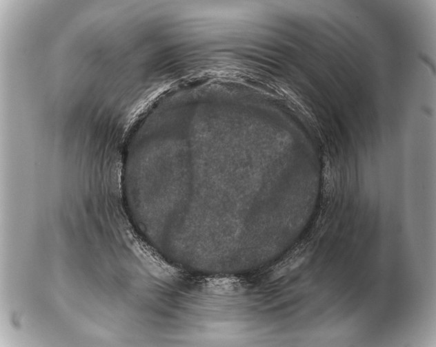 X0000102520446200808291800