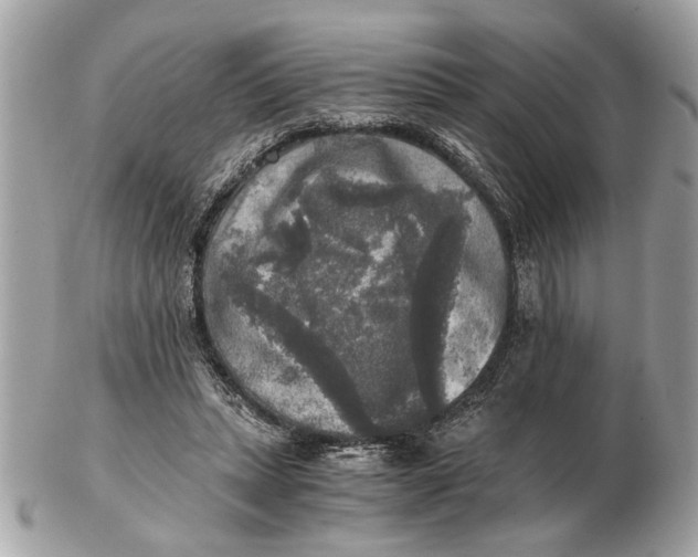 X0000102520447200808291800