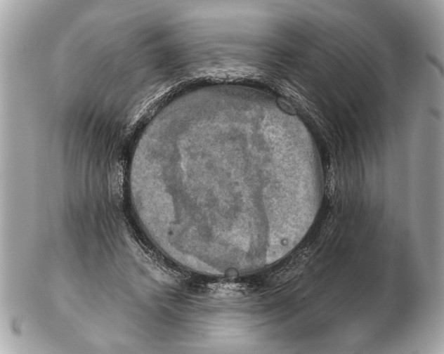 X0000102520448200808291800