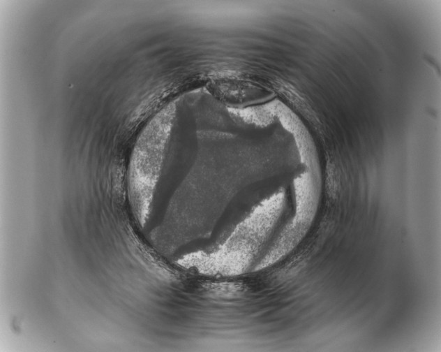 X0000102520449200808291801