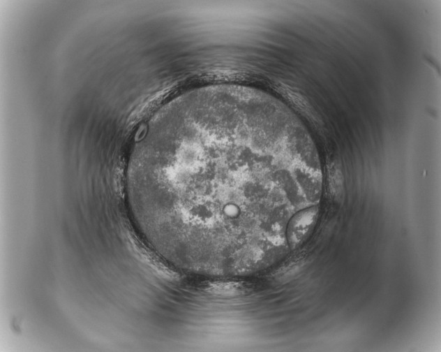 X0000102520450200808291801