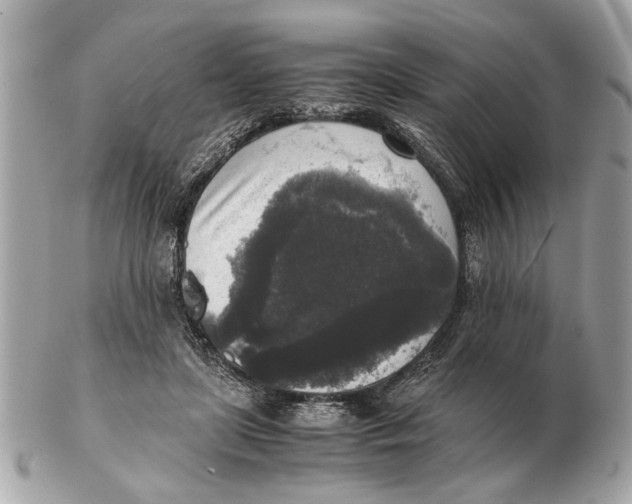 X0000102520451200808291801