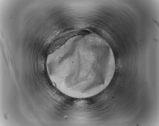 X0000102520452200808291801