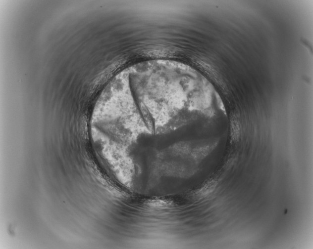 X0000102520453200808291801