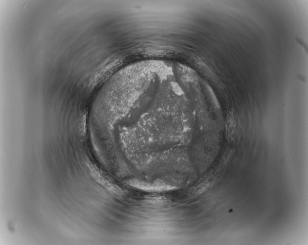 X0000102520454200808291801