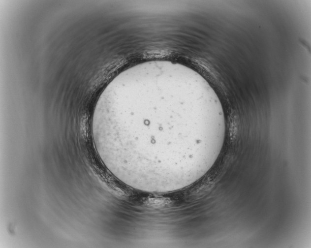 X0000102520455200808291801