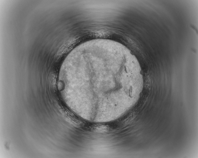 X0000102520456200808291801