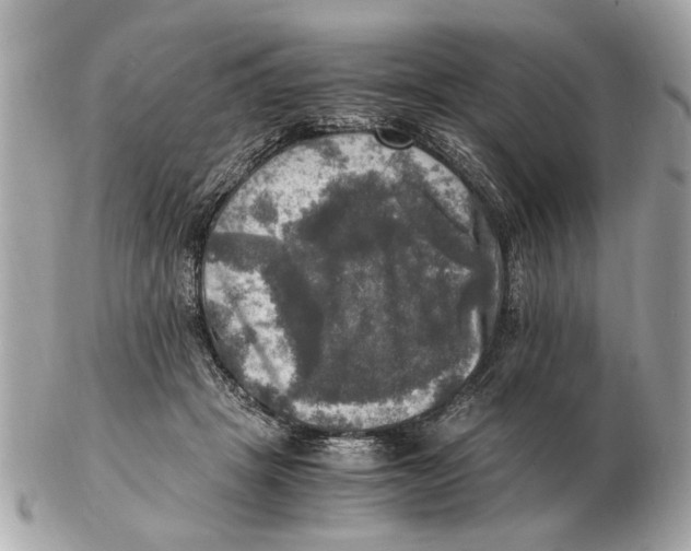 X0000102520457200808291801