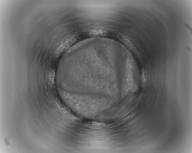 X0000102520458200808291801