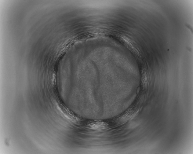 X0000102520459200808291801