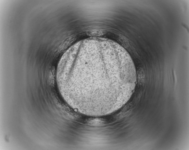 X0000102520460200808291801