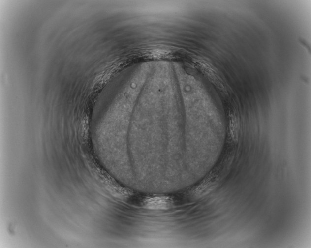 X0000102520461200808291801