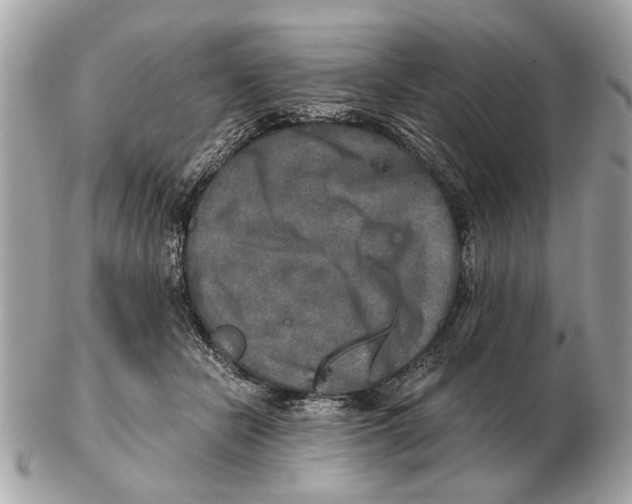 X0000102520462200808291801