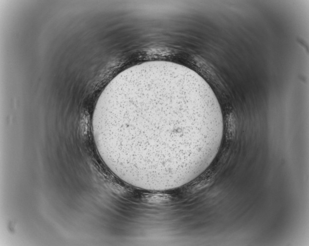 X0000102520463200808291801