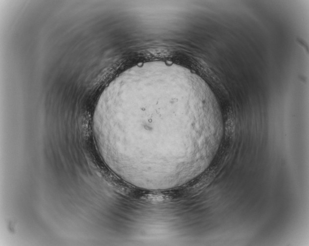 X0000102520464200808291801