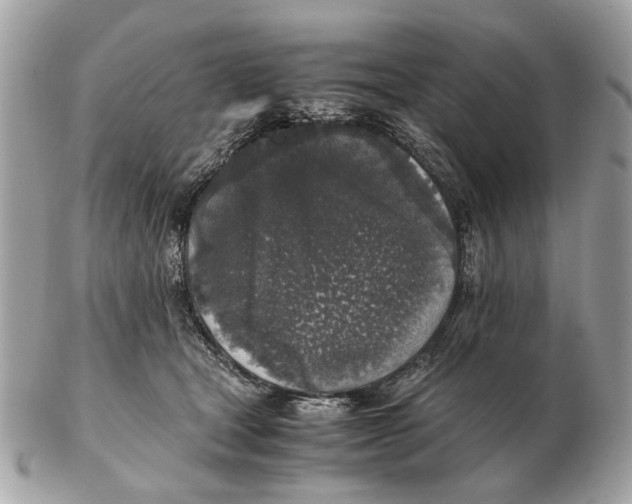 X0000102520465200808291801