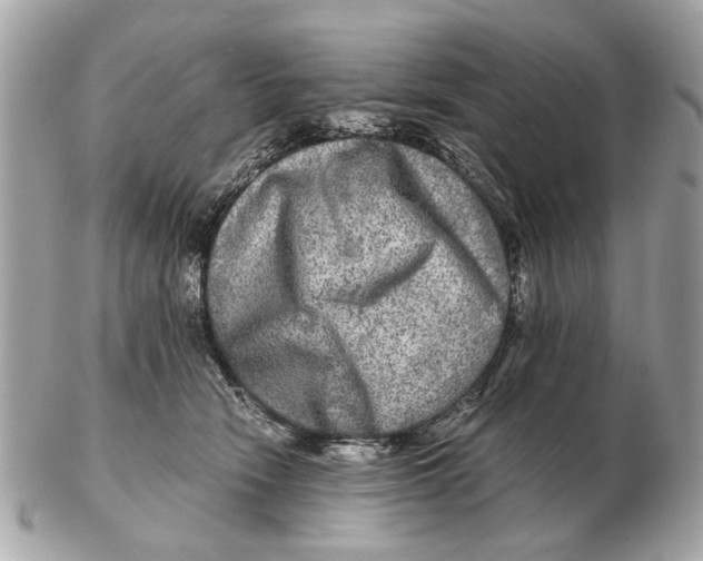 X0000102520466200808291801