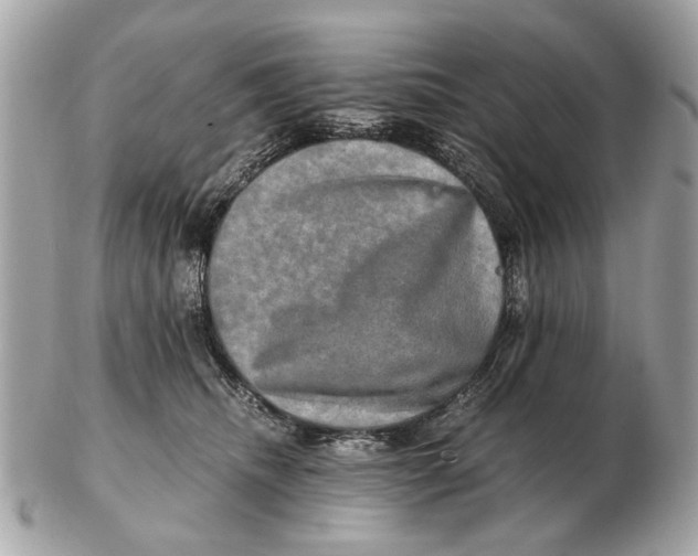 X0000102520468200808291801