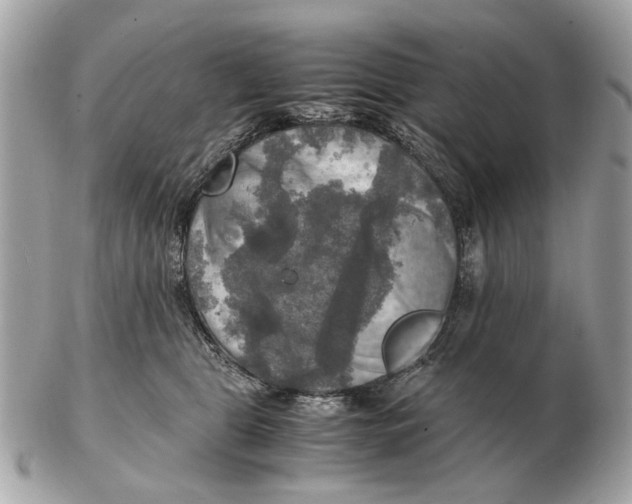 X0000102520469200808291801