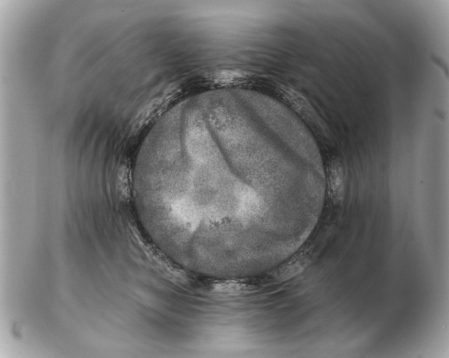 X0000102520470200808291801