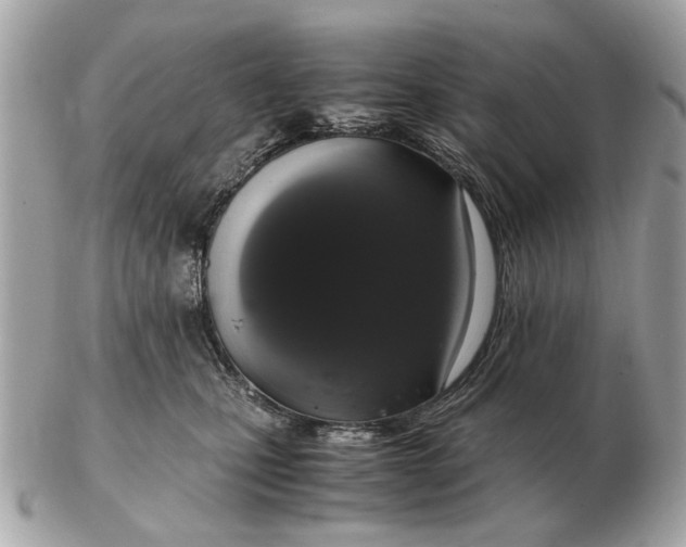 X0000102520471200808291801