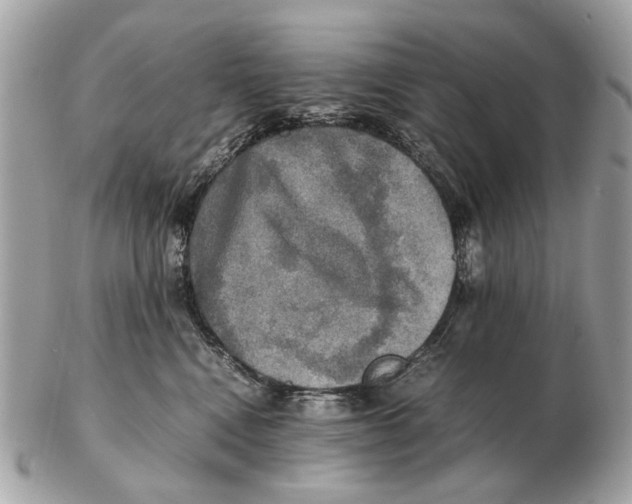 X0000102520472200808291801