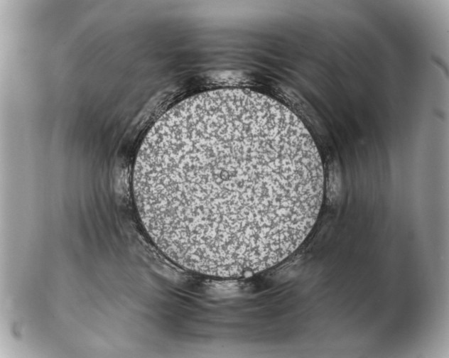 X0000102520473200808291801