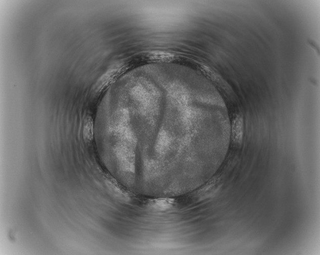 X0000102520474200808291801