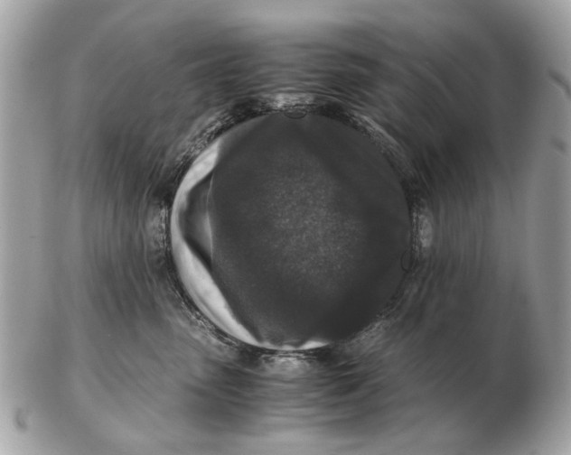 X0000102520475200808291801